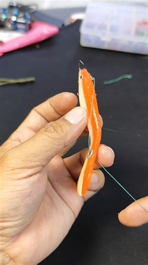 478K views · 869 reactions | If your bionic lure doesn’t catch fish… You’re not rigging it like this #bionicsoftlure #lurefishingtips #sportfishinglife #knotskills #fishingworld #fishingknot #fishinglife #fishingtips | Indra Jaya Giri | Facebook