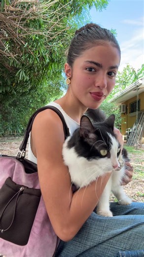 Remembering My Cat Boo