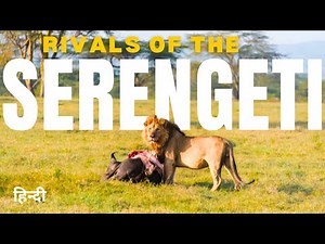 Rivals of The Serengeti: Lions Hyenas | Wildlife documentary Hindi | animal documentary hindi dubbed