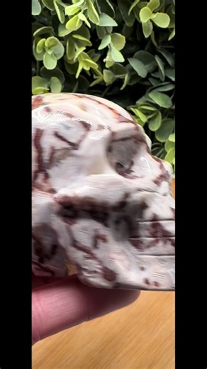 Red Crazy Lace $60 #crystals #viral #CrystalLovers #crystalshop #crystalshop