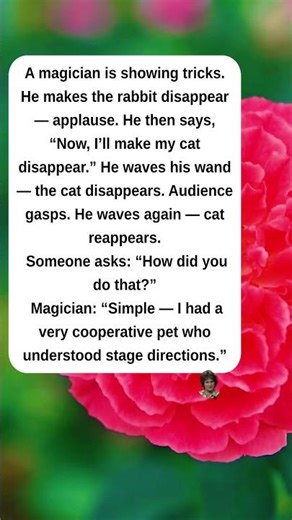 The Magician’s Cat #jokes