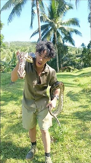 9 - Feet long Giant Burmese Python! #fypシ゚viral #wildlife #snakepapi