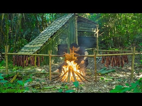 Extreme Solo Survival | No Food, No Water, No Shelter – Traps, Shelter & Food Search