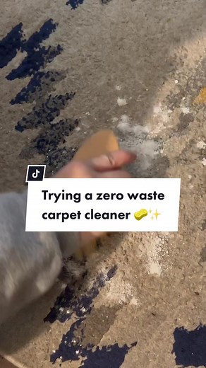 Trying a Zero Waste Carpet Cleaner - Does It Really Work?