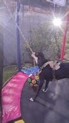 Dog plays with ball on trampoline