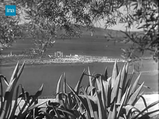 ربورتاج عن تجديد التنقيب في موقع وليلي، الذي كان قد توقف سنة 1939 بسبب الحرب العالمية الثانية. #لحظة #تاريخ | لحظة تاريخ