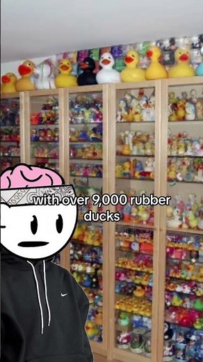 Worlds Largest Rubber Duck Collection 🦆