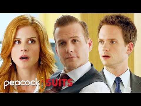 "You Don't Send a Puppy to Clean Up it's Own Mess!" | Suits