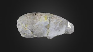 Trace fossil: Coprolite (PRI 76856) - Download Free 3D model by Digital Atlas of Ancient Life (@DigitalAtlasOfAncientLife)