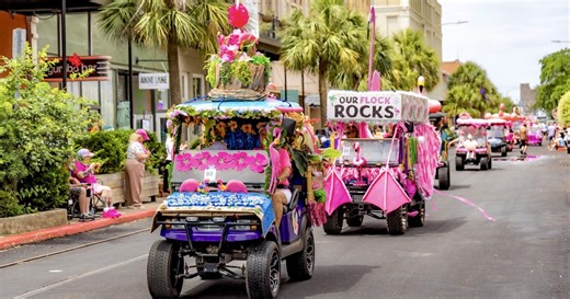 Flamingo Fest Galveston TX | Visit Galveston