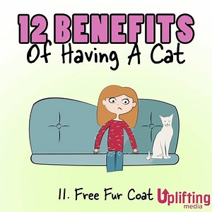 59K views · 2.2K reactions | Uplifting on Reels | Facebook