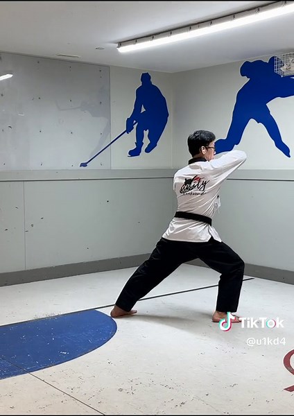 How to train Taegeuk 5 Jang #poomsae #taekwondoform #taegeuk