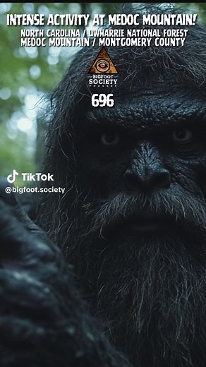 Exploring Bigfoot Encounters in North Carolina