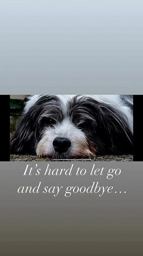 Michael Vogt on Reels