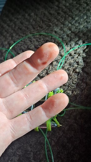 7.9K views · 60 reactions | The hand of a crab snare maker! These hands have made over a 1000 crab snares! ✋️呂 | Stinson Crab Snares | Facebook
