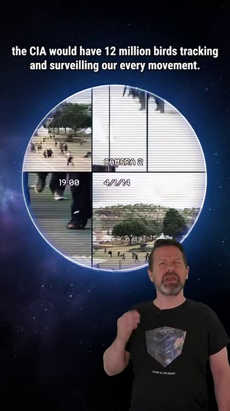 Are Birds Actually Spy Drones in Disguise?