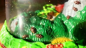 Here is some footage of Ladybug Land! This kit is very fun! I...