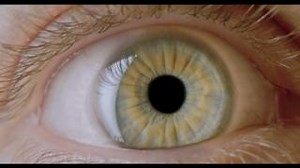 Medical care re-imagined with remote connection! Discover how TeamViewer is helping the aftersales from Regensight by connecting to therapy and imaging diagnostics machines. Regensight, a med-tech company, specializes in personalized and precision eye care. With TeamViewer Remote, their technicians ensure seamless to customers' platforms, aiding surgeons in safe eye operations. This solution offers secure remote control, efficient data transfer, and real-time device monitoring—enabling quick tro