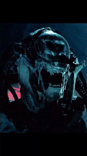 Predator vs Alien: Tunnel of Death