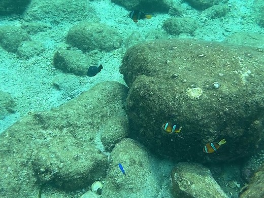 四国のおすすめ海遊び 海水浴場 シュノーケリングﾎﾟｲﾝﾄ20選 - あははライフ