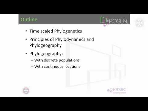 1. Phylogenetics & Phylogeography(lecture-part 1)