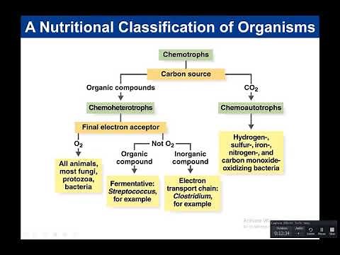 Chapter 6: Microbial Growth new
