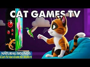 Ultimate Cat TV－Stimulating Visual Games For Kittens－Keep Your Cats Entertained with Videos for Cats