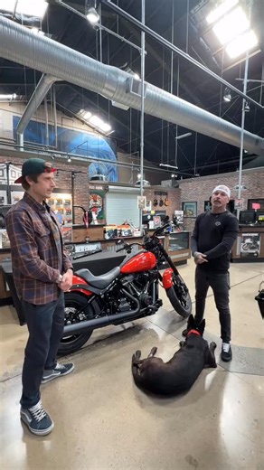 How do you make the already-cool 2026 Blood Orange Low Rider® S even cooler? 😎🔥 Handlebar Phil & Mikey 🤘are here with some options Level it up with: 🧡 Harley-Davidson® Switchback Seat ⚡ Spark Plug Wires 🔥 Flat-Out Bars Just a few killer options 🏍️💨 Looking to upgrade? Come on in and talk to Handlebar Phil in the San Diego Harley-Davidson Parts Department — and get dialed in 💪 📍 4645 Morena Boulevard, San Diego, CA 92117 📞 858-293-4166 🌐 sandiegoharley.com #LowRiderS #BloodOrange #Harl