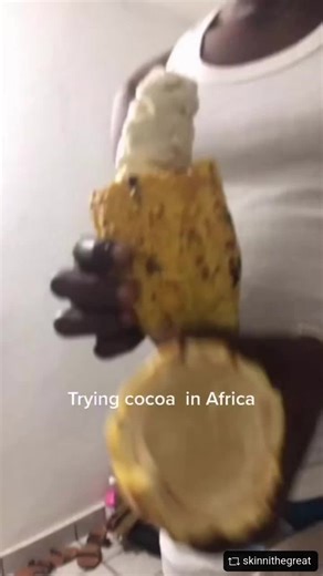 Cacao Fruit Pulp: Juices, Smoothies & Jelly from Africa