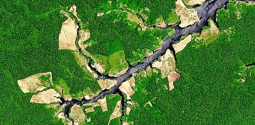 The great Amazon land grab – how Brazil’s government is clearing the way for deforestation