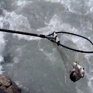 Diversified Methods Of Catching Fish_Amazing Fishing Video | Pets US