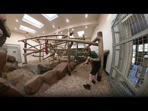 Day in the Life of a Zoo Keeper