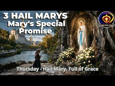 Pray the 3 Hail Marys for Protection Today 🙏 Powerful Catholic Prayer to Mary