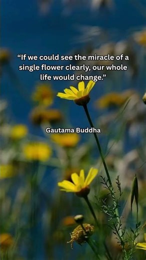 The Miracle of One Flower ✨ | Back to Nature Reflection | Quite Hope