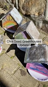 Last day to sign up! This is your year to grow 🌿 We created CCC Academy to give you everything you need to create a THRIVING arts & crafts club. Inside CCC Academy, you’ll: ⭐️Learn about the 6 stages of building a successful club ⭐️Get comprehensive training on every aspect of starting and growing a club ⭐️Join a community that supports you every step of the way Whether you want to teach in-person classes, birthday parties, online workshops, or create and sell kits or subscription boxes, having