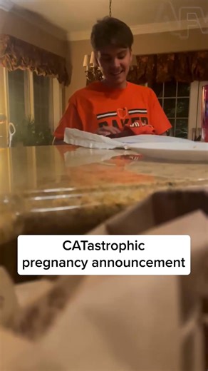 812K views · 9.3K reactions | He thought it was for the cat 藍 #afv #fail | America's Funniest Home Videos | Facebook