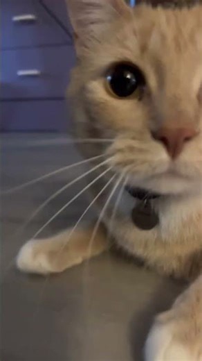 Tiny gui adventure prt1