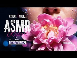 Peony Bloom | AI ASMR