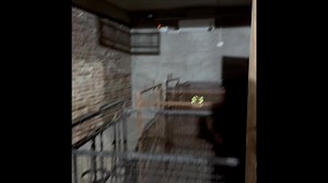 328K views · 8.9K reactions | Top quality 10 months heffers #forsale from one of the top farm JOLLY DAIRY FARM Amritsar Punjab 9815258000 | JOLLY DAIRY FARM | Facebook