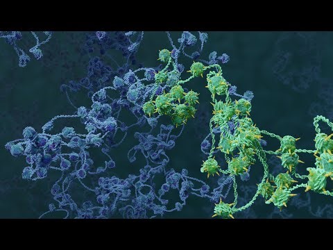 Epigenetic Cellular Memory of 3D Chromosome Folding and Gene Expression