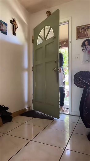 Popular TikTok Trends and Hashtags Explored