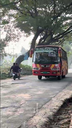 Local bus driver #trending #shorts