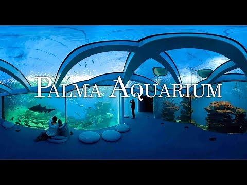 Palma Aquarium 4K I The Aquarium of the Balearic Islands