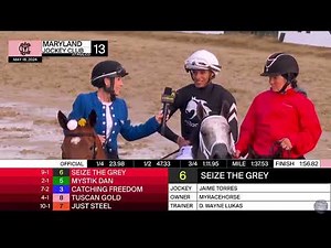 Preakness Stakes Goes To Seize The Grey - Pimlico - 5/18/24