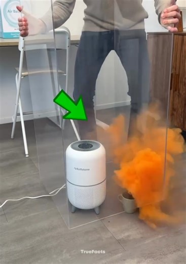 Air Purifier Test Results Revealed!