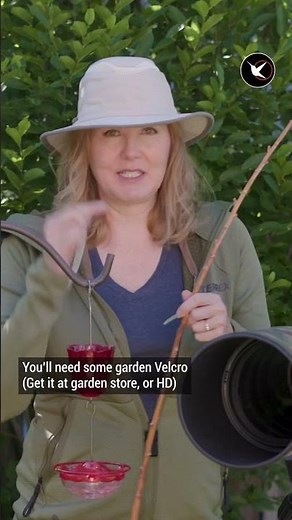 DIY Hummingbird Perch!