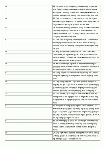 Driver License Written Test in Vietnamese Flashcar video