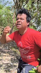 431K views · 11K reactions | Desde la frontera ja ja ja ja ja El cosholoro Chepita Pezo Solo es actuación #cosholoro #lachepa #shoroshoro | Chupetito Risas | Facebook