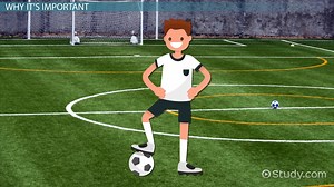 Physical Activity Benefits for Children's Growth & Development - Video | Study.com