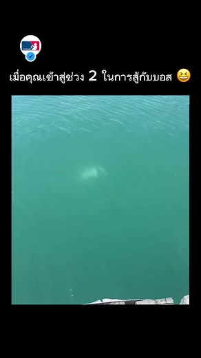 🎥: fishingthewhitsundays #ตกปลา #fishing #ทะเล